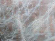 Jadore 2 cm 10868  (3).jpg